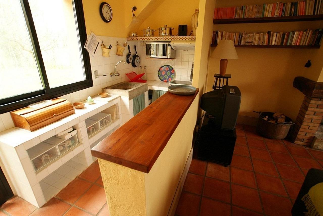 Appartement El Mas Prat à La Vall de Bianya Extérieur photo